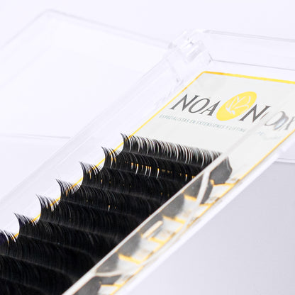 Extensiones de pestañas curvatura D